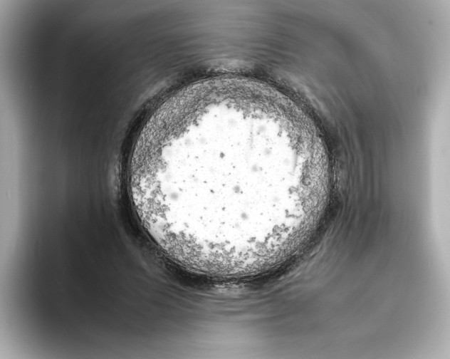 X0000095690591200802051314