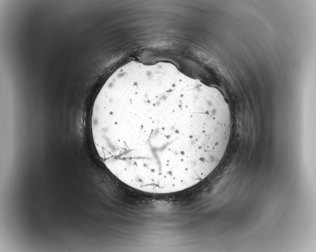 X0000095690592200802051314
