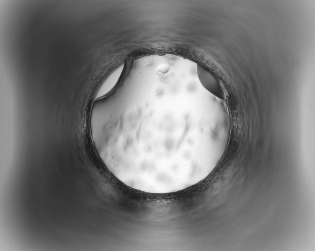 X0000095690593200802051314