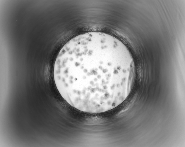 X0000095690594200802051314