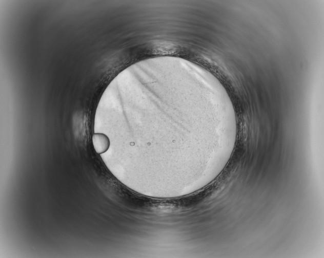 X0000095690598200802051314