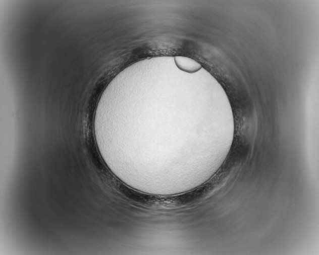 X0000095690599200802051314