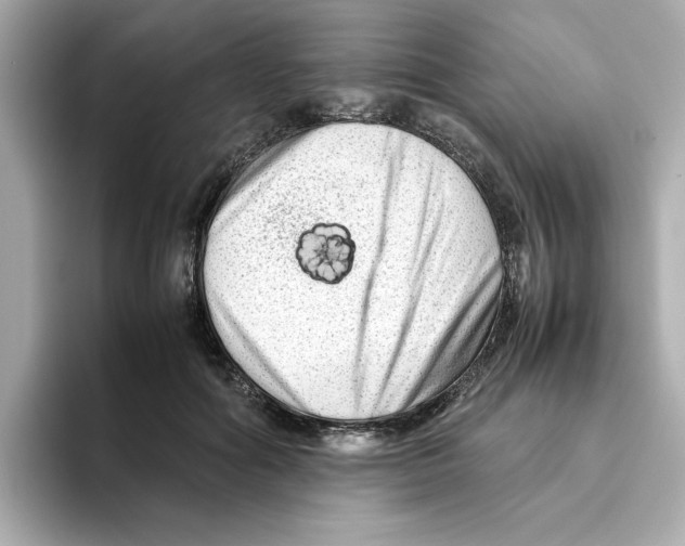X0000095690602200802051314