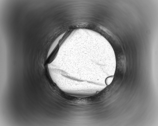 X0000095690604200802051314