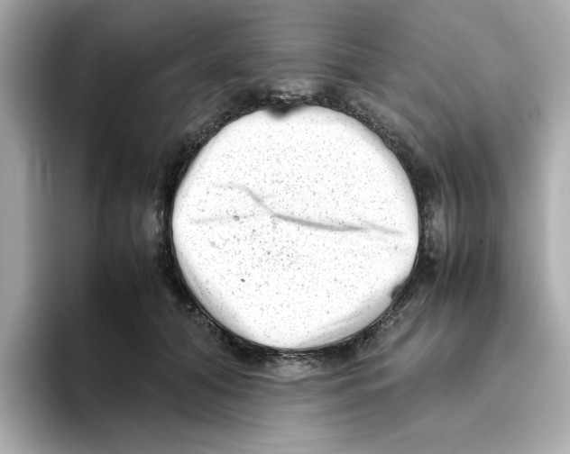 X0000095690608200802051314