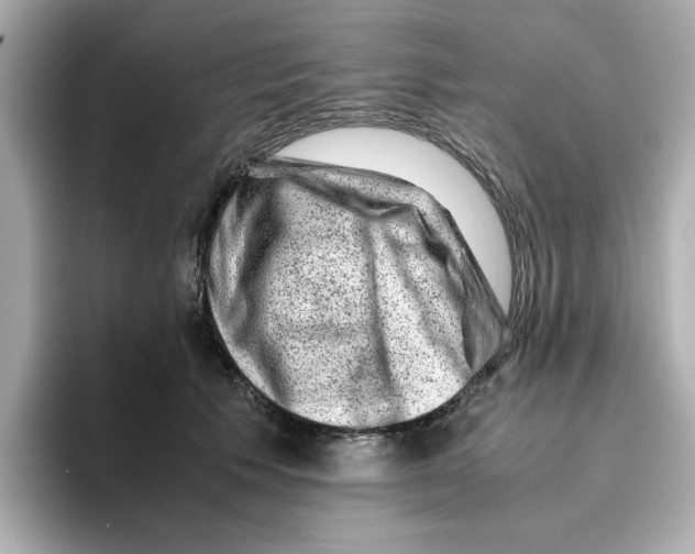 X0000095690609200802051314