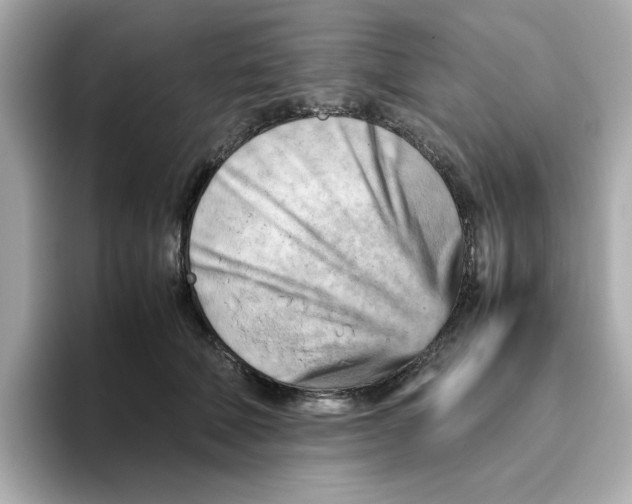 X0000095690610200802051314
