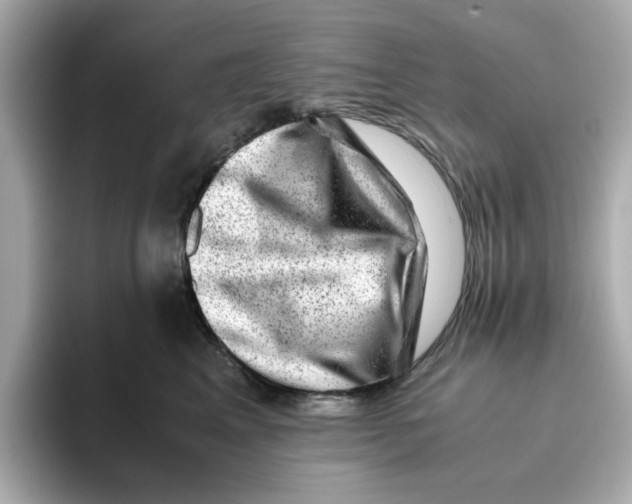 X0000095690617200802051314