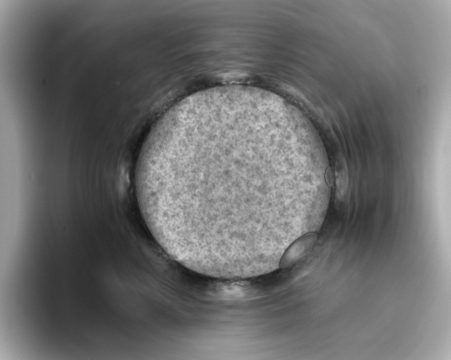 X0000095690618200802051314