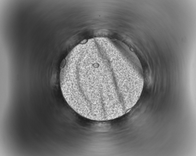 X0000095690619200802051314