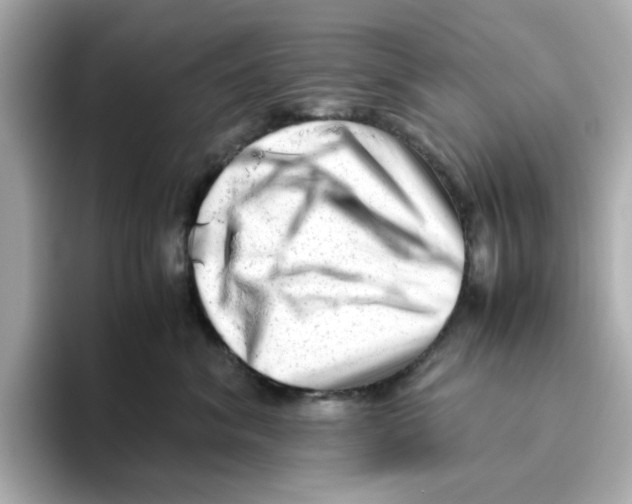 X0000095690620200802051314