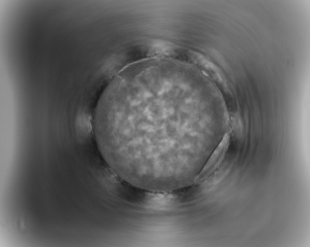 X0000095690621200802051314