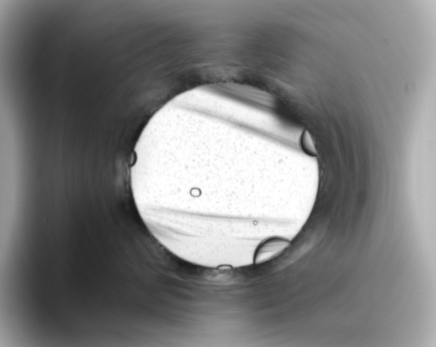 X0000095690624200802051314