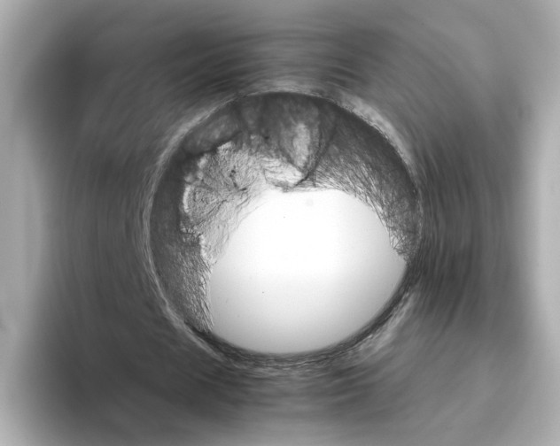 X0000095690625200802051313