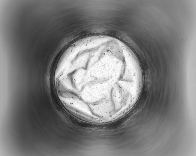 X0000095690626200802051313