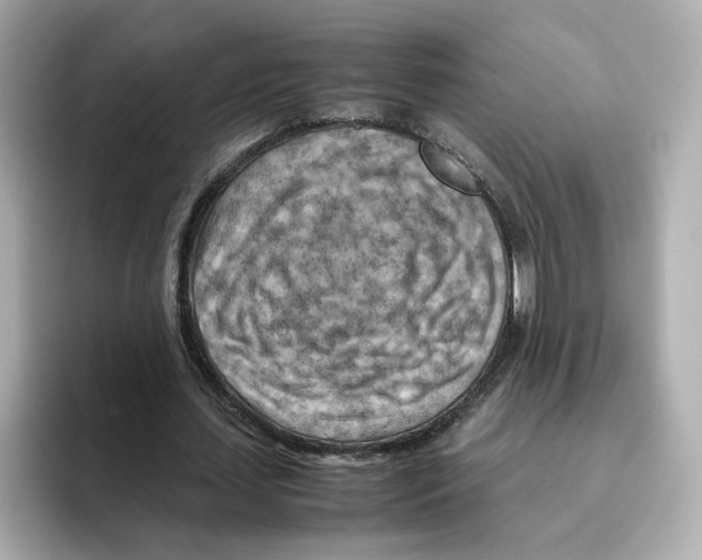 X0000095690627200802051313