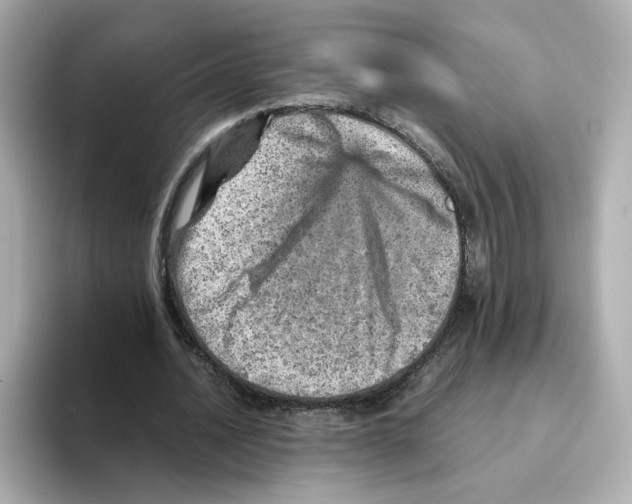 X0000095690628200802051313
