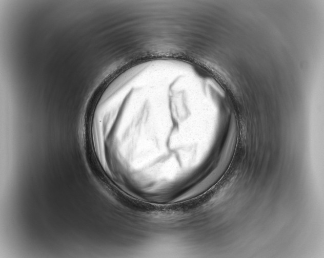 X0000095690630200802051313