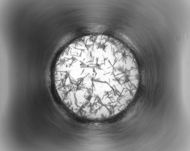 X0000095690634200802051313