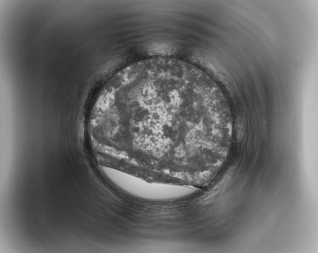 X0000095690637200802051313