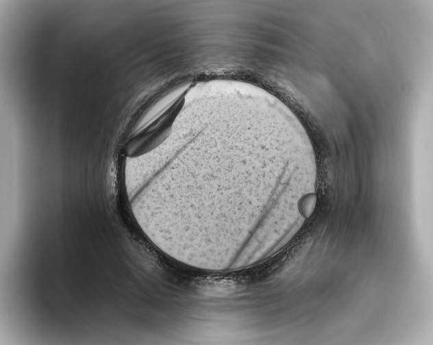X0000095690640200802051313