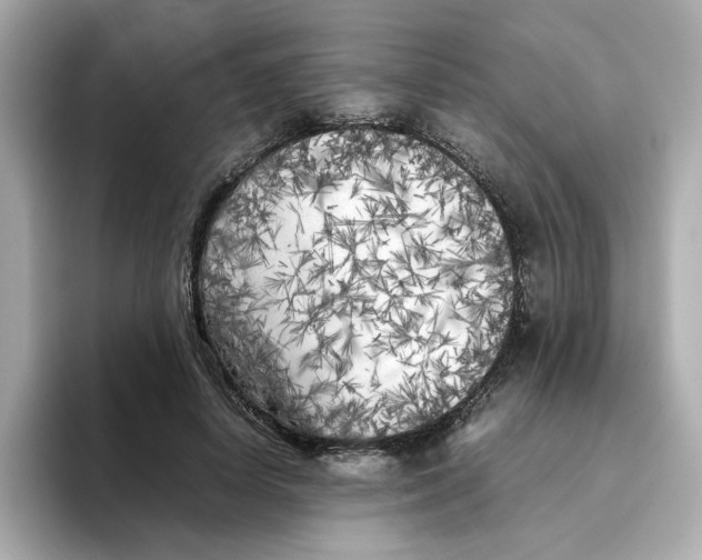 X0000095690642200802051313