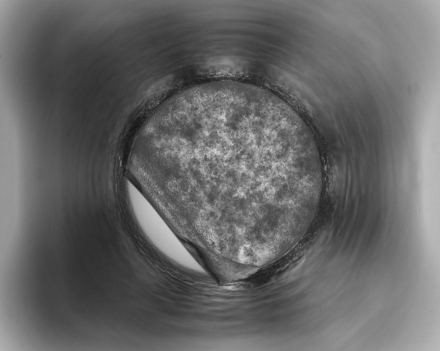 X0000095690643200802051313