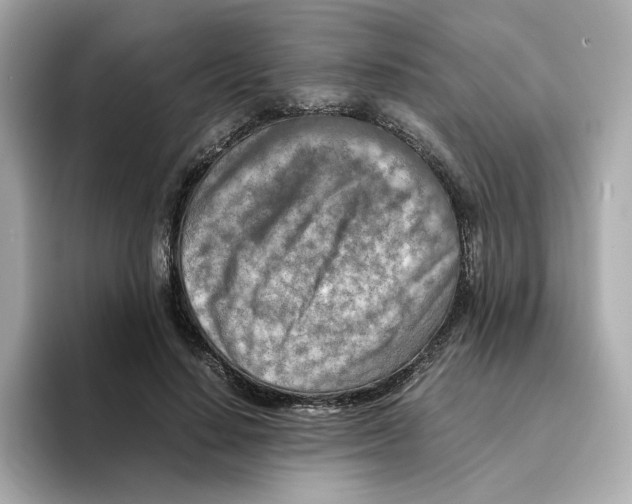 X0000095690644200802051313