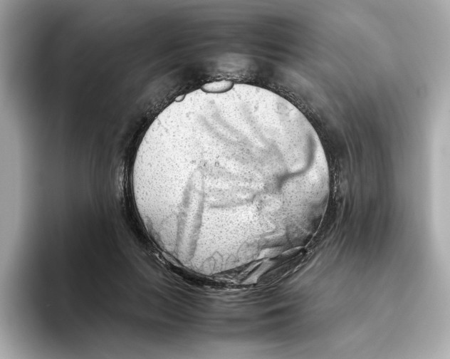 X0000095690647200802051313