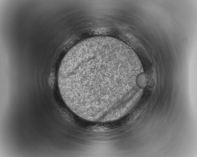 X0000095690648200802051313