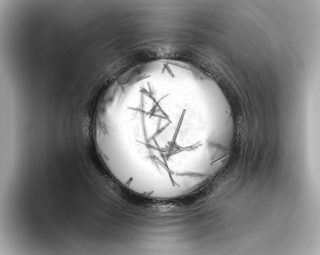 X0000095690650200802051314