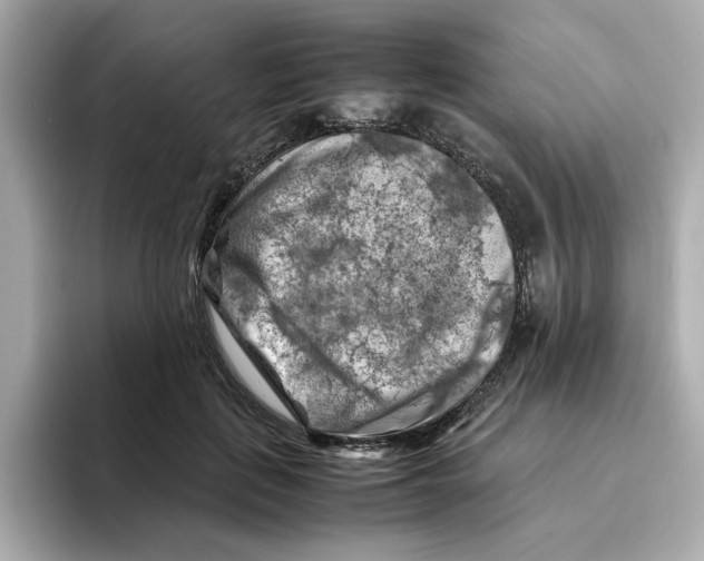 X0000095690651200802051314