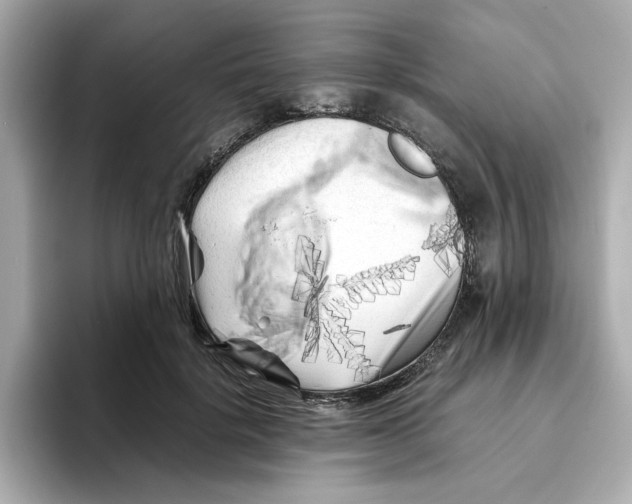 X0000095690652200802051314