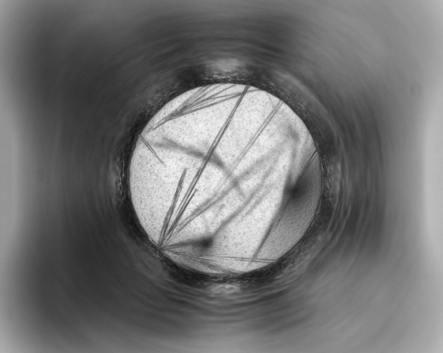 X0000095690653200802051314