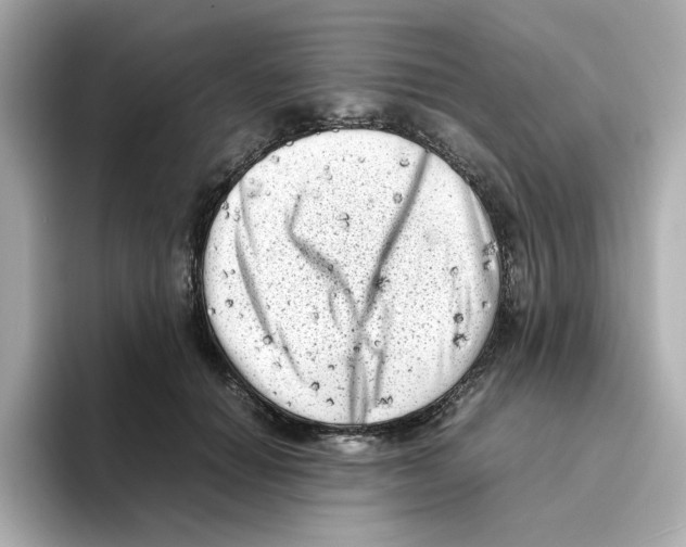 X0000095690654200802051314