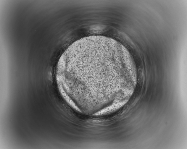 X0000095690655200802051314