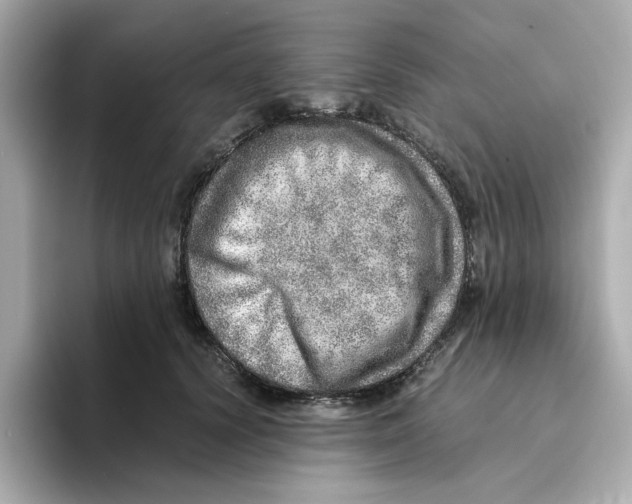 X0000095690656200802051314