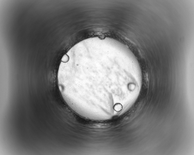 X0000095690657200802051314