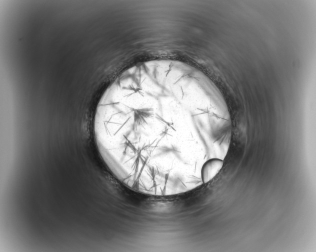 X0000095690658200802051314