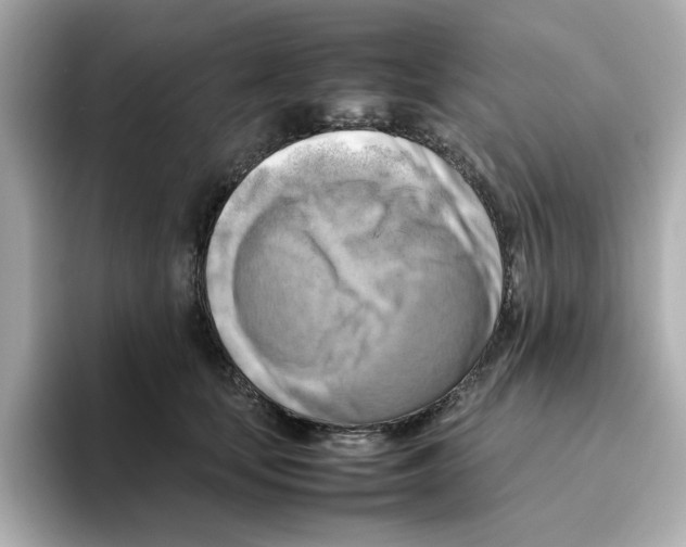 X0000095690659200802051314