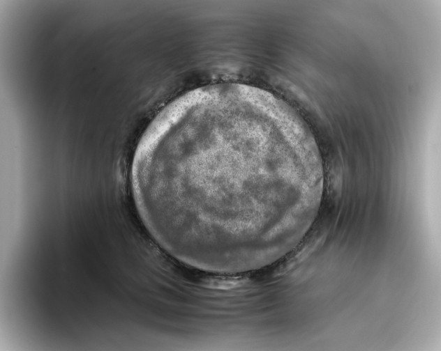 X0000095690661200802051314