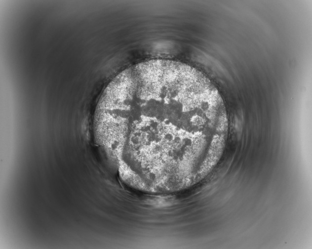 X0000095690663200802051314