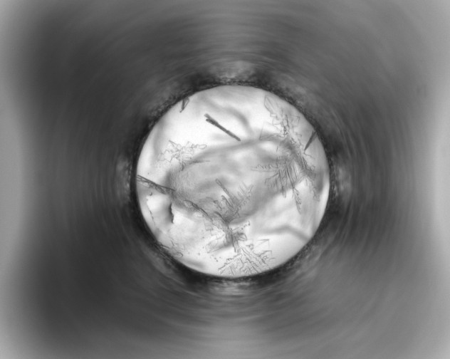 X0000095690664200802051314