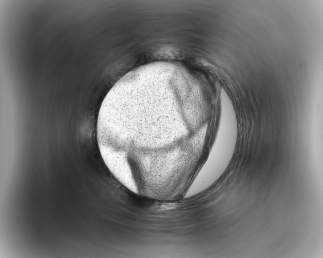 X0000095690665200802051314