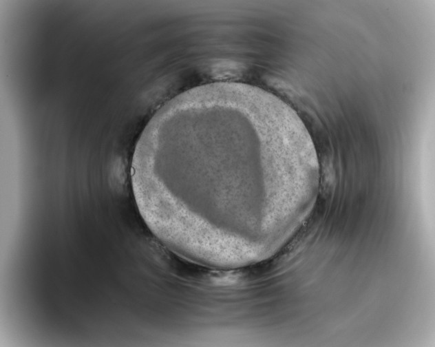 X0000095690667200802051314
