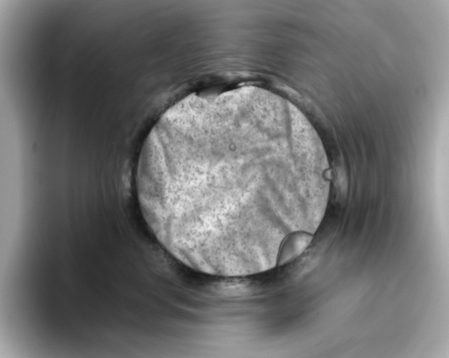 X0000095690668200802051314