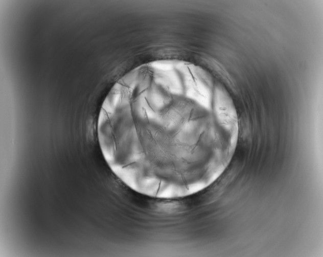 X0000095690669200802051314