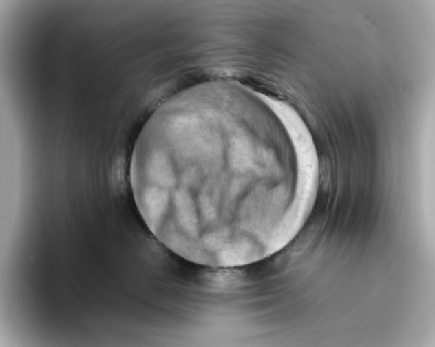X0000095690670200802051314