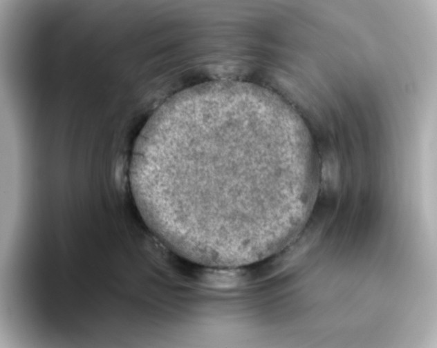 X0000095690671200802051314