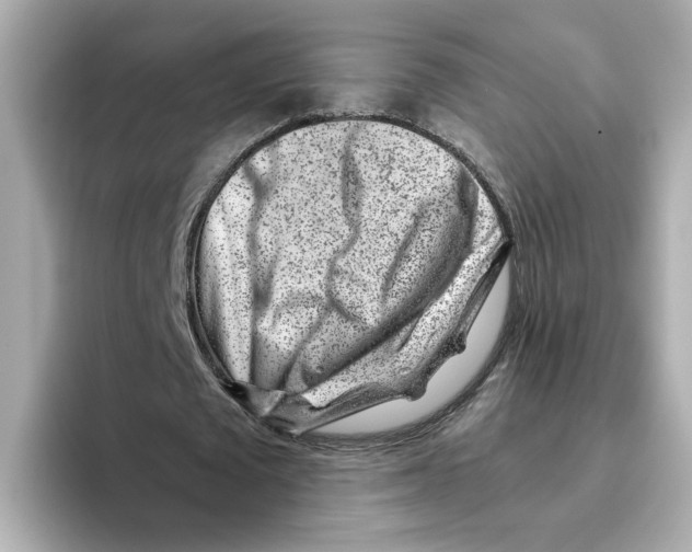 X0000095690673200802051313